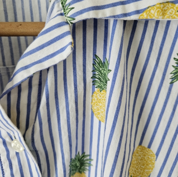 Chloe and Rene pinstriped pineapple button down dress - Picture 3 of 8